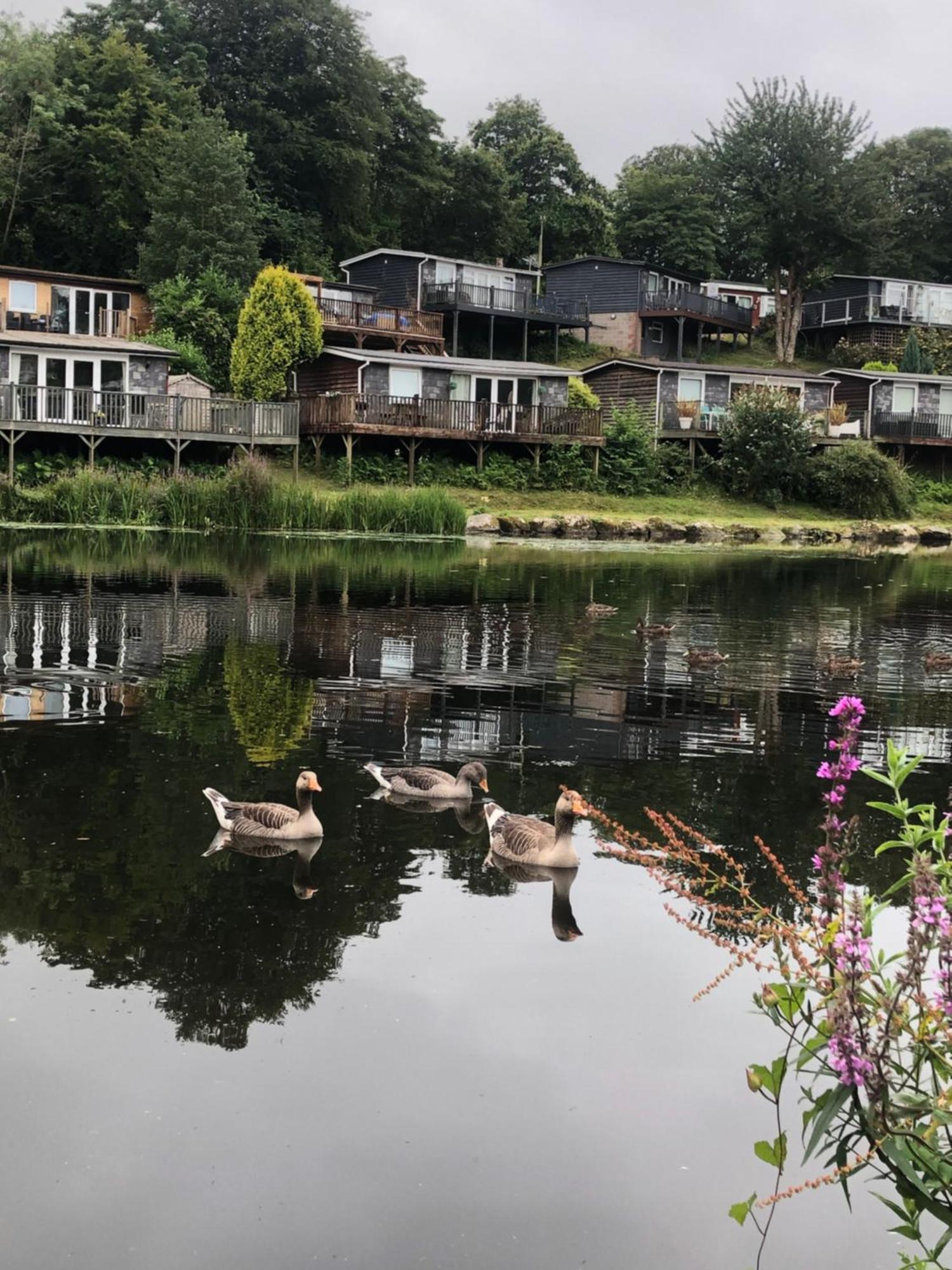 Chalet 64, Lakeside, Glan Gwna Holiday Park Карнарвон Екстер'єр фото
